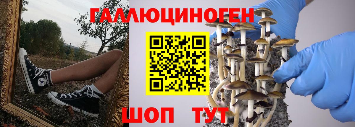 Галлюциногенные грибы GOLDEN TEACHER  Галлюциногенные грибы Psilocybe  Стерлитамак  Вход с VPN 